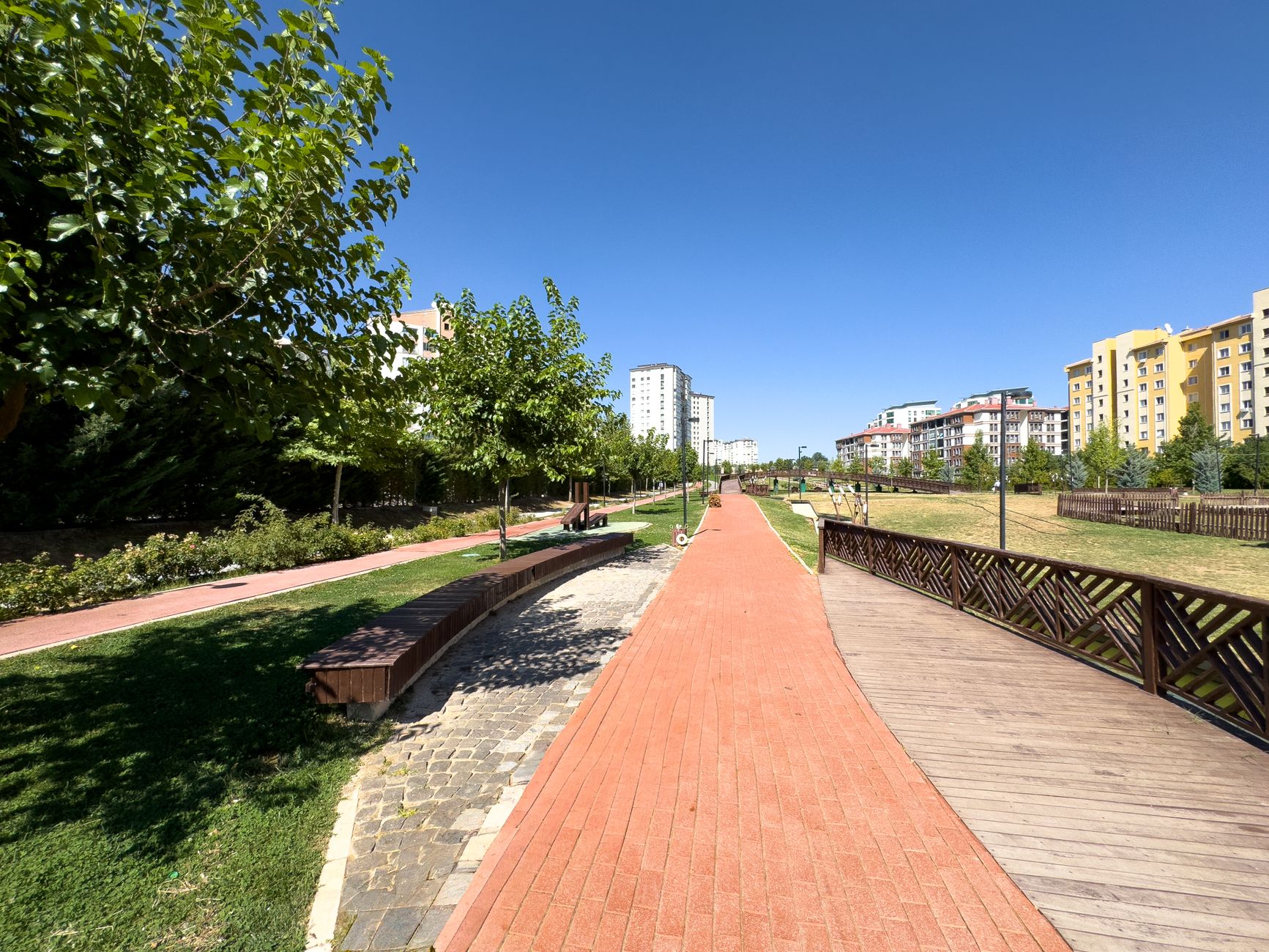 A vibrant, sunny park walkway with trees and buildings in Elâzığ, Türkiye. — Top Things to Keep In Mind While Designing a Caf